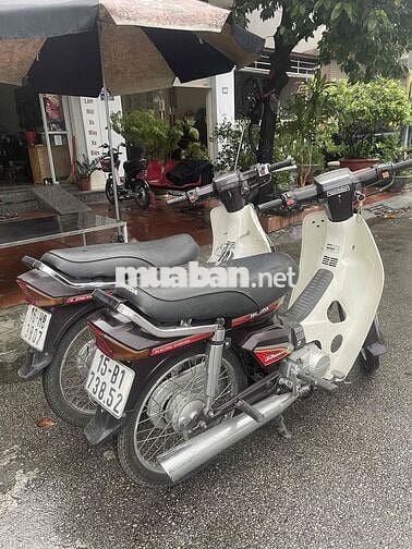 Honda Dream Nâu, Trắng