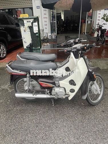 Honda Dream Nâu, Trắng