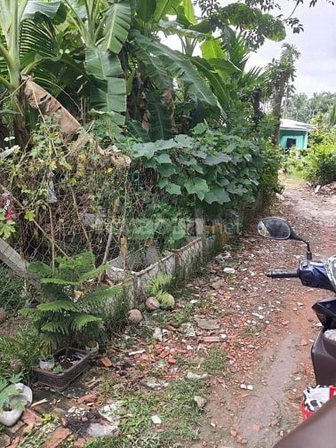 Bán nhà đất tại Thạnh Quý - An Thạnh - Bình Dương🏡