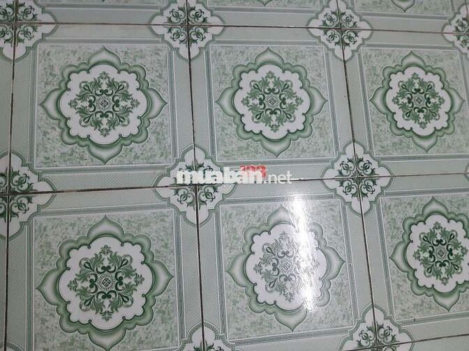 Phòng trọ giá rẻ, sạch đẹp đường Nguyễn Văn Quá, Q12