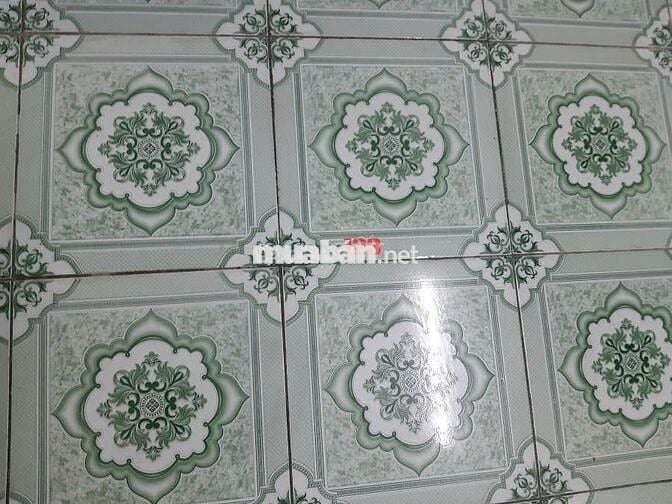 Phòng trọ giá rẻ, sạch đẹp đường Nguyễn Văn Quá, Q12