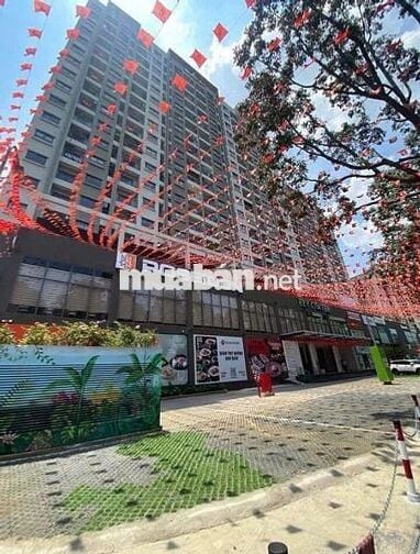 CHO THUÊ 2 CĂN HỘ A6A7 PHƯỜNG TRẤN BIÊN GIÁ 8 TRIỆU VÀ 8,5 TRIỆU