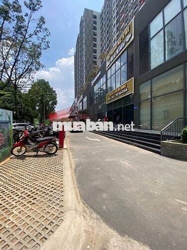 CHO THUÊ 2 CĂN HỘ A6A7 PHƯỜNG TRẤN BIÊN GIÁ 8 TRIỆU VÀ 8,5 TRIỆU