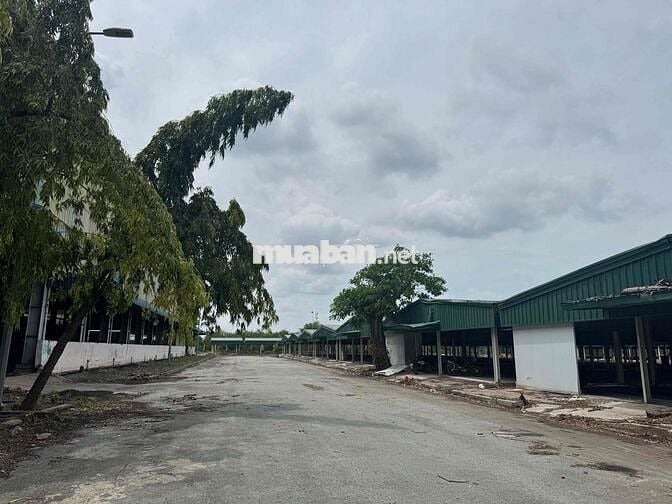 cho thuê kho đường Đào Trí 700-1.000-48.000m2