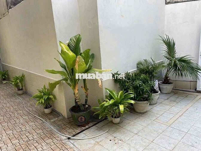 cho thuê nhà 3pn Bạch Đằng, sau lưng nhà MT