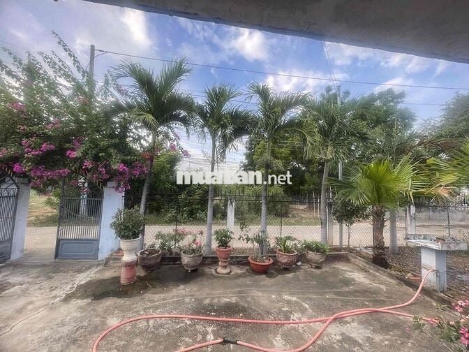 Nhà riêng rộng rãi ở Tháp Chàm