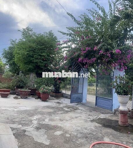 Nhà riêng rộng rãi ở Tháp Chàm