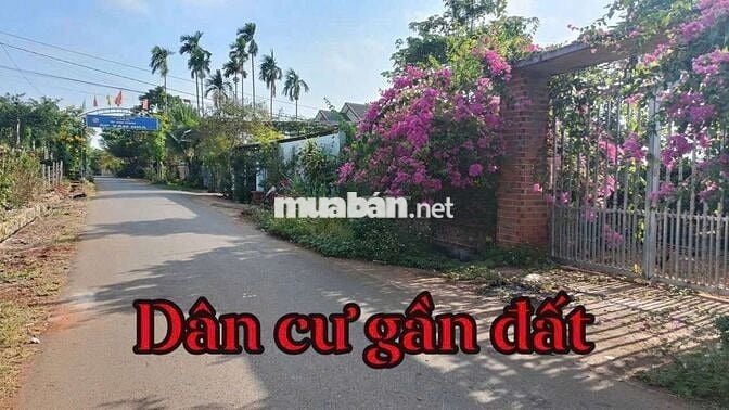 5.5 x 24 80m2 thổ cư 395tr sổ riêng Xuân Sơn TPHCM 
