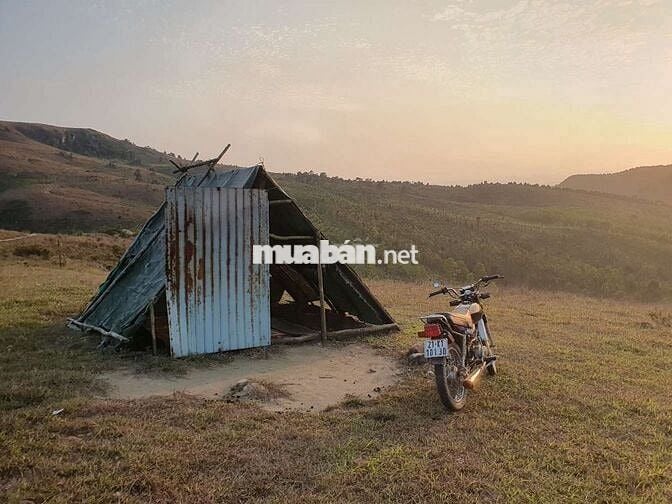 Honda Win 100 Đen 52zz