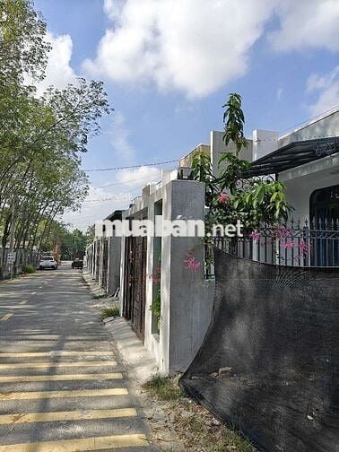 Nhà cấp 4 sát Thịnh Gia cho thuê