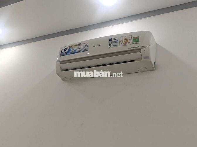 Nhà cấp 4 sát Thịnh Gia cho thuê
