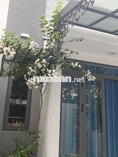 Nhà cấp 4 sát Thịnh Gia cho thuê