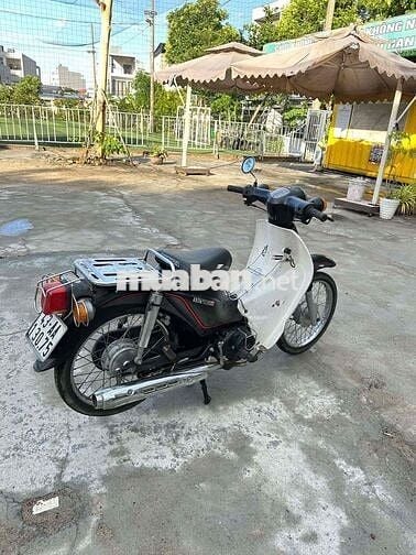Honda Cup 50cc 2023 Đen trắng Nguyên bản