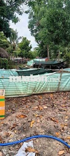 cho thuê nhà vườn cảnh Võ Văn Bích vành đai 3
