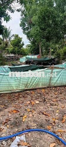 cho thuê nhà vườn cảnh Võ Văn Bích vành đai 3