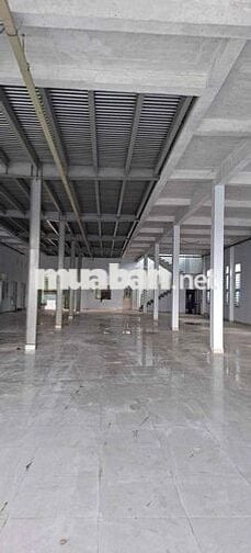 CHO THUÊ MẶT BẰNG LÀM KHO XƯỞNG..TỈNH LÔ..XÃ BÌNH MỸ.. CỦ CHI..HCM