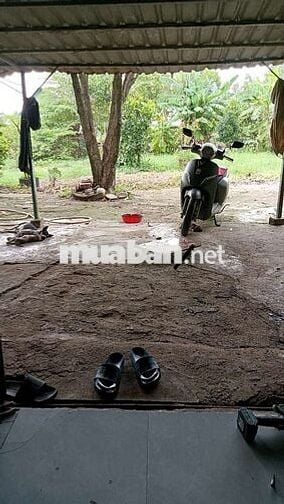 cho thuê nhà vườn cảnh Võ Văn Bích vành đai 3