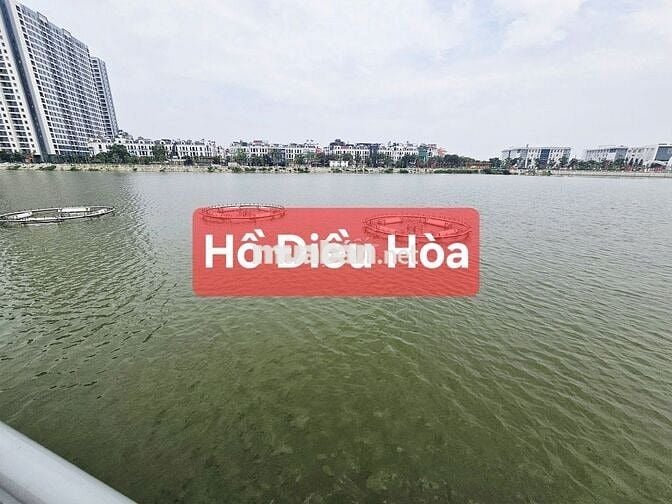 LÔ GÓC 48M2, TĐC TRÂU QUỲ, GIA LÂM, ĐƯỜNG OTO TRÁNH - KINH DOANH