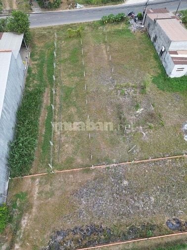 Tôi bán gấp 1000m2 có 50m2 thổ cư đường cây trôm mỹ khánh xã thái mỹ 