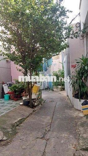 Cho thuê nhà nc 2pn2wc. THÍCH QUẢNG ĐỨC P5,PN