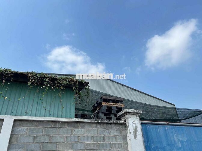 Nhà xưởng cho thuê 850m2 mặt tiền 25*35 cao ráo thông thoáng