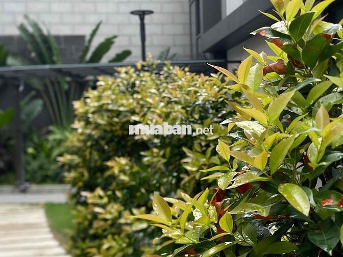 3pn Giá Tốt Chỉ 4🧄 Full Nội Thất