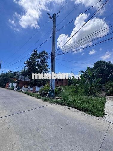 719m2 sát Hậu Nghĩa Trung tâm HC Tây Ninh