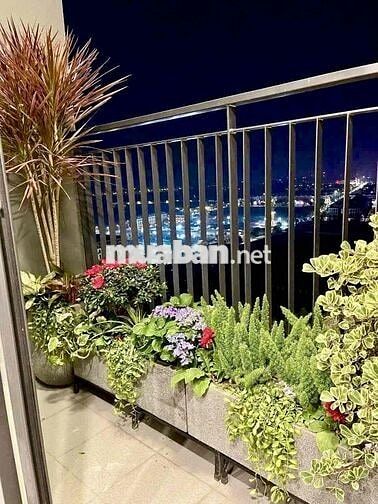 cho nam thuê ở ghép chung cư trọn gói ở dưới 2tr/tháng
