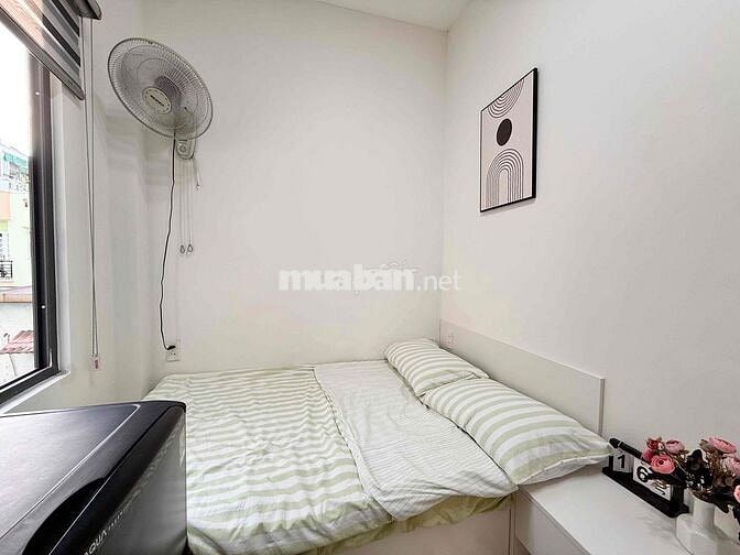 KHAI TRƯƠNG CĂN HỘ MINI XINH NGOAN IU 4X NGAY PHAN XÍCH LONG