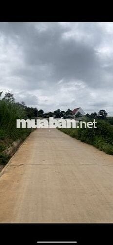 Bán đất có thổ cư vùng ven Tp Đà Lạt