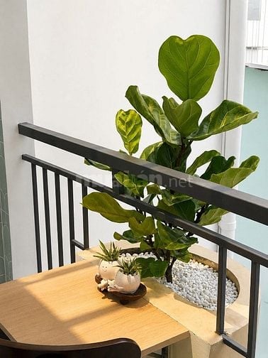  VÀI BƯỚC CHÂN RA MẶT TIỀN - 3 TẦNG - 2PN -3WC  FULL NỘI THẤT CAO CẤP 