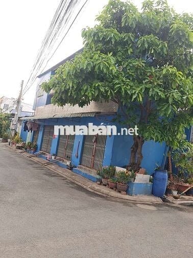 Cho thuê nhà mini 1 trệt 1 lầu