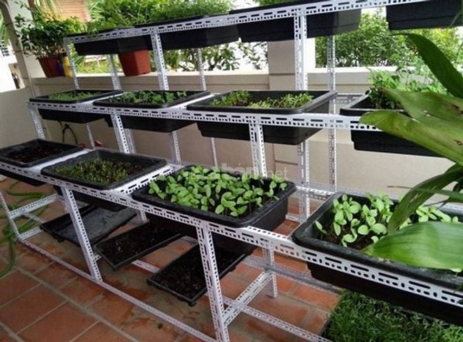 Kệ sắt V lỗ-51 Quang Trung Ái Nghĩa Đại Lộc