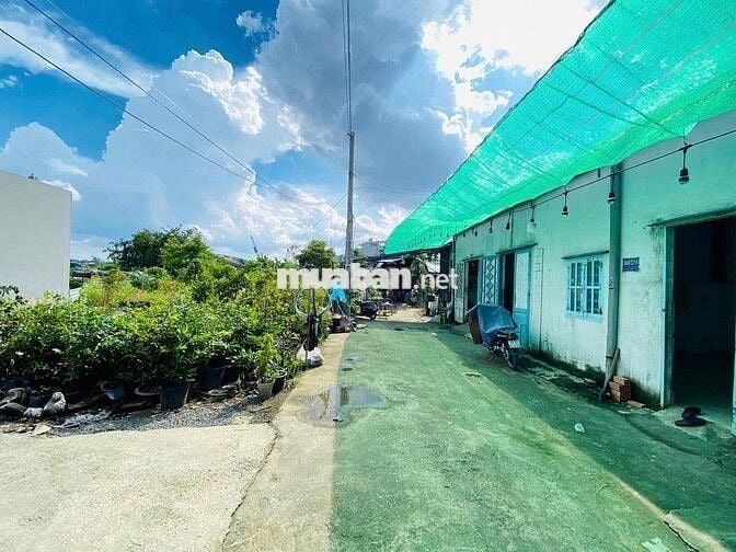 Bán đất lớn tuyệt đẹp 346,3m2 sát sông dòng tiền 35tr giá gần 65tr/m2