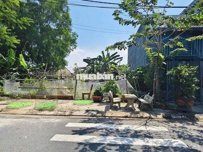 Bán Đất Khu Dân Cư Xuyên Á Chính Chủ Đường Nhựa Lớn