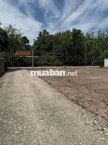 CHỦ GỬI EM BÁN   ĐẤT 134m2 (FULL THỔ) Ở TRẢNG BÀNG SÁT KCN PHƯỚC ĐÔNG