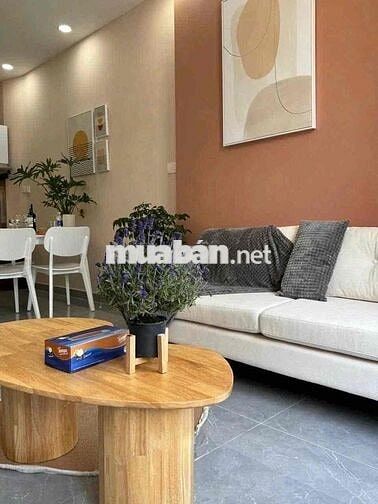 Cho thuê ngay 1PN 45m2 siêu xinh ngay VX Dân Chủ_Lý Chính Thắng Q3