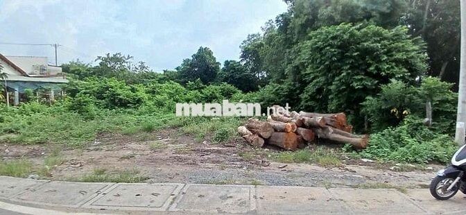 Bán đất đẹp gần ngã tư Cây Bài , hợp đâu tư kinh doanh , 851m2/1,55ty