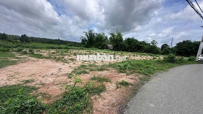 Đất vườn 530m²  sổ riêng chính chủ - Phước Thạnh Củ Chi - 800 triệu TL