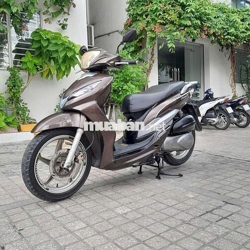 SYM Shark nguyên gin