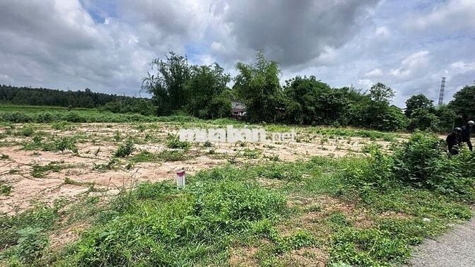 Đất vườn 530m²  sổ riêng chính chủ - Phước Thạnh Củ Chi - 800 triệu TL