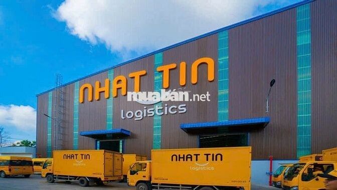 Nhất Tín Logistics Đà Nẵng Tuyển NVKD