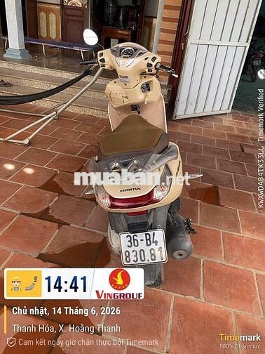 Honda Lead 2017 Vàng kem 73044 km