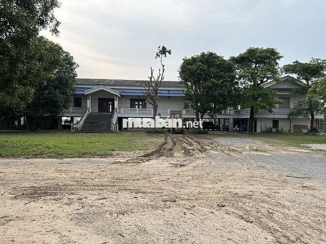 Bán hoặc cho thuê bặt bằng xưởng sản xuất gạch không nung