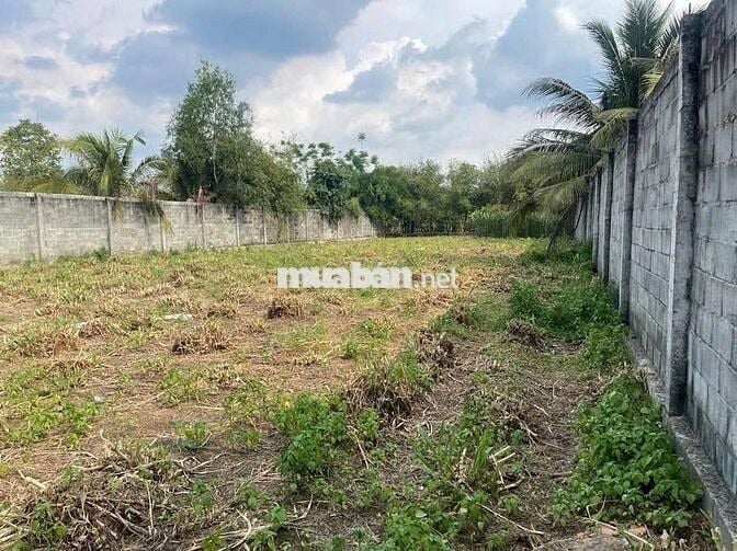 Cần bán mảnh đất lớn đẹp lớn 1287m2 ở Phước Thạnh, Củ Chi giá 2,6 tỷ