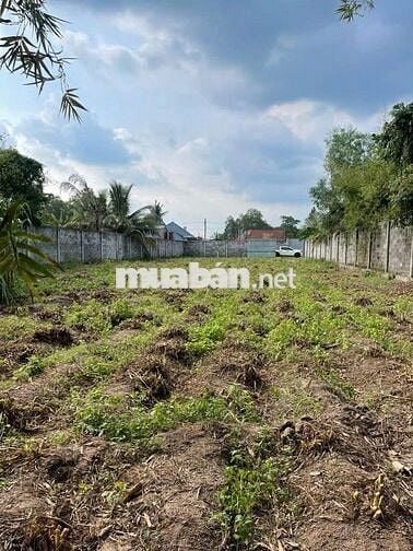 Cần bán mảnh đất lớn đẹp lớn 1287m2 ở Phước Thạnh, Củ Chi giá 2,6 tỷ