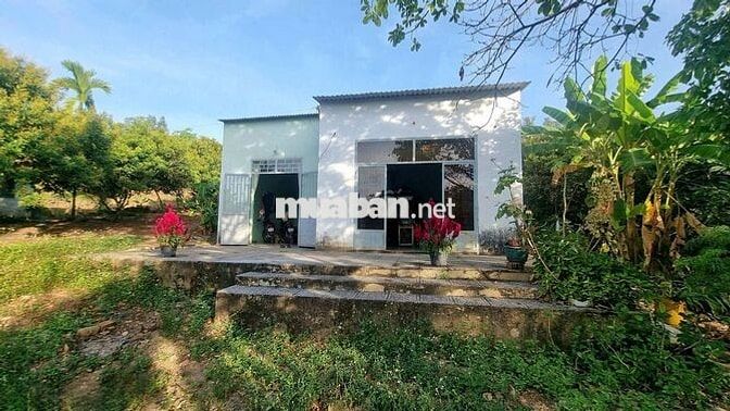  NHÀ VƯỜN CHUẨN PHONG THUỶ 107 MÉT MẶT TIỀN ĐƯỜNG NHỰA, RỘNG 10.989 M2