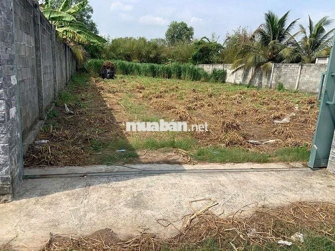 Cần bán mảnh đất lớn đẹp lớn 1287m2 ở Phước Thạnh, Củ Chi giá 2,6 tỷ