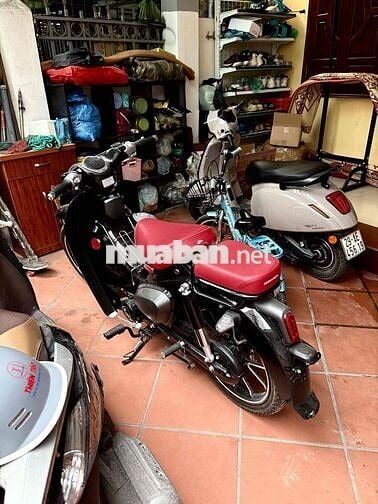 Detech Cub 50 2026 Đen 90cc