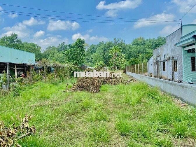 CHÍNH CHỦ BÁN GẤP 436,8m2 THỔ CƯ 300M2 TÂN AN HỘI , CỦ CHI GIÁ 850tr